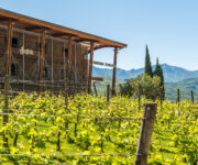 Cantina di Toblino © 2016 Ronny Kiaulehn - All rights reseved.