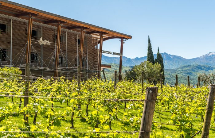 Cantina di Toblino © 2016 Ronny Kiaulehn - All rights reseved.